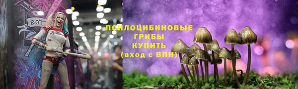 прущая мука Богданович