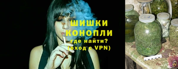 стаф Богородск