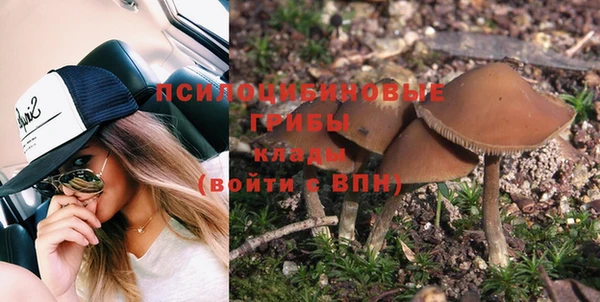 прущая мука Богданович