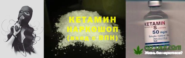 стаф Богородск
