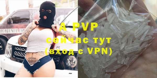 гидра Чегем