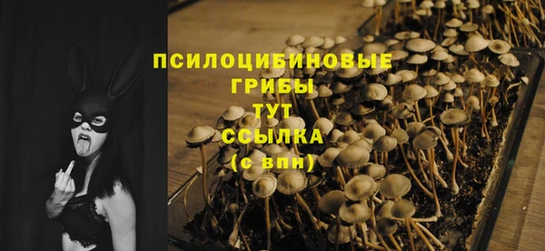 кристаллы Богородицк