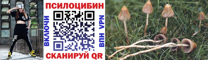 Галлюциногенные грибы MAGIC MUSHROOMS  Купить где  Артёмовский 
